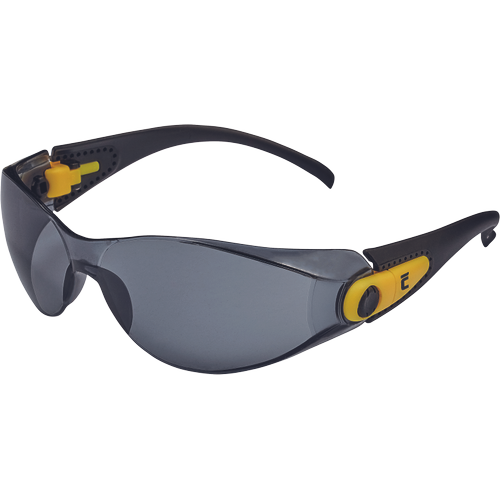 CERVA FINNEY AF, AS védőszemüveg termék fő termékképe