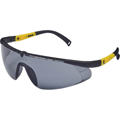 CERVA VERNON IS AF, AS védőszemüveg termék fő termékképe