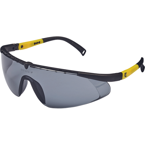 CERVA VERNON IS AF, AS védőszemüveg termék fő termékképe