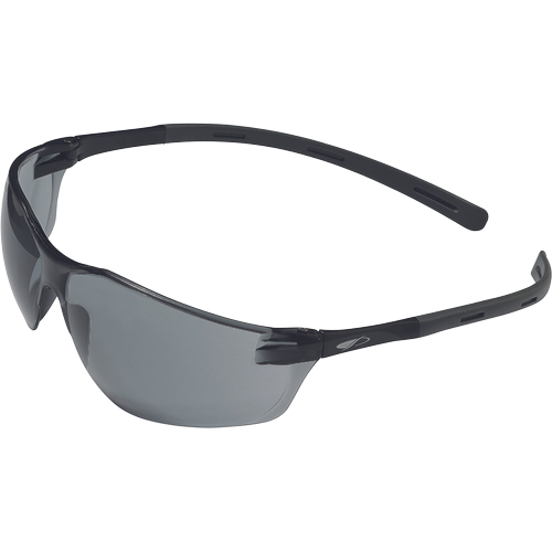 CERVA JSP RIGI védőszemüveg AS termék fő termékképe