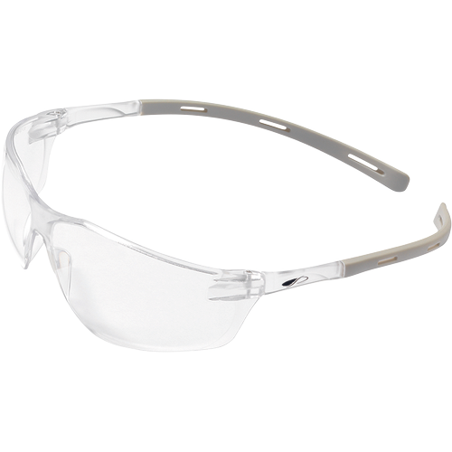 CERVA JSP RIGI védőszemüveg AS termék fő termékképe