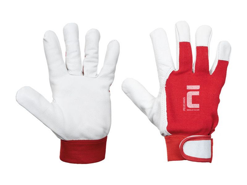 CERVA PELECANUS kesztyű termék fő termékképe