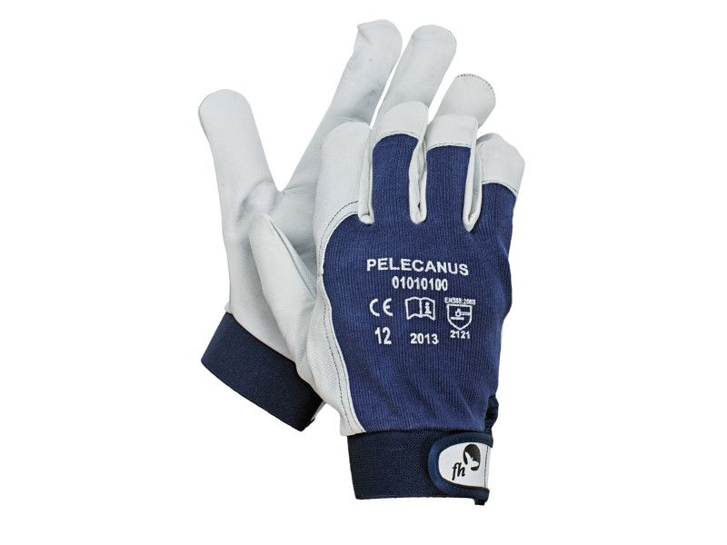 CERVA PELECANUS kesztyű termék fő termékképe